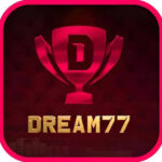 dream 77 Apk